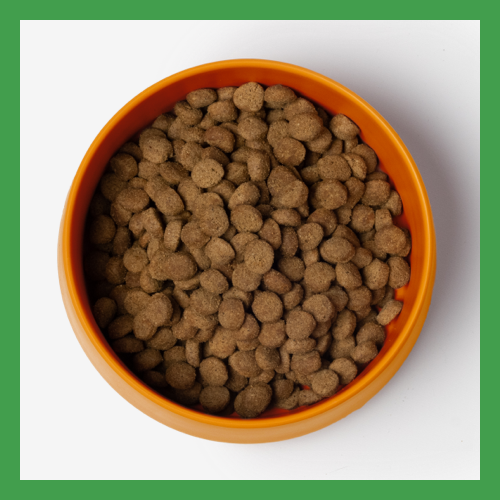 Virbac dog deals food puppy